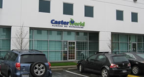 Caster World